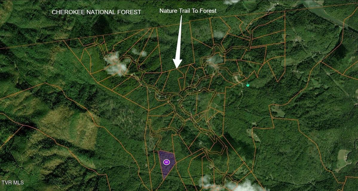 Photo #4: 614 Tulip Poplar Trail