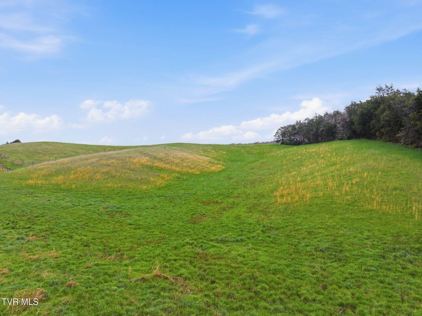 Photo #8: 1154 Wesley Chapel Road