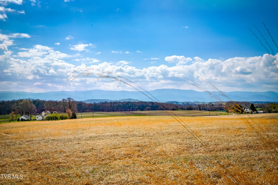 Photo #37: 420 Barren Valley Road