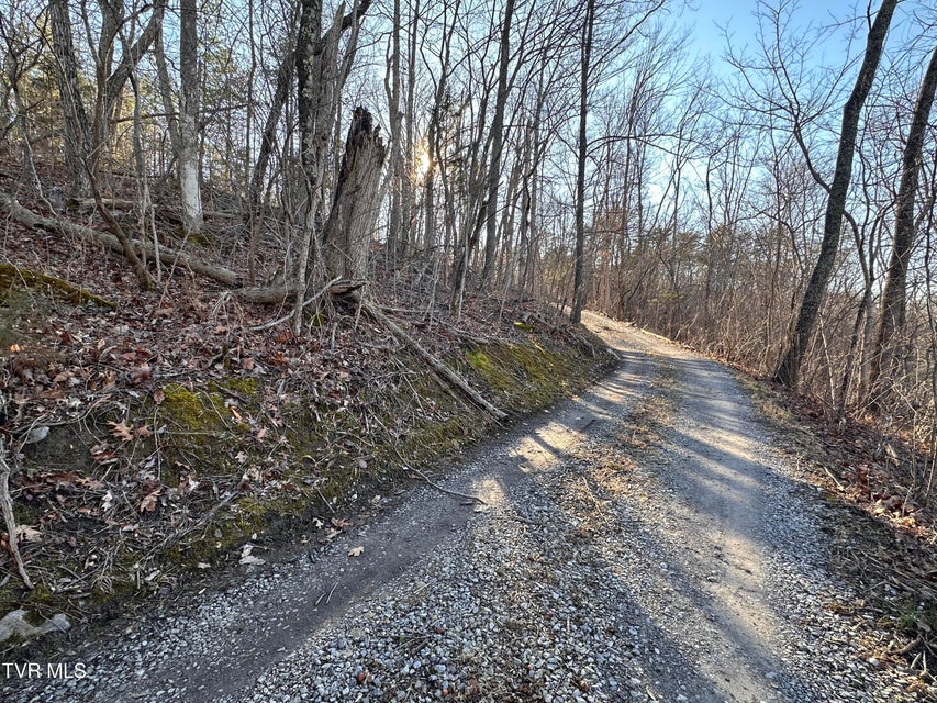 Photo #16: 8 Acres Promiseland Way