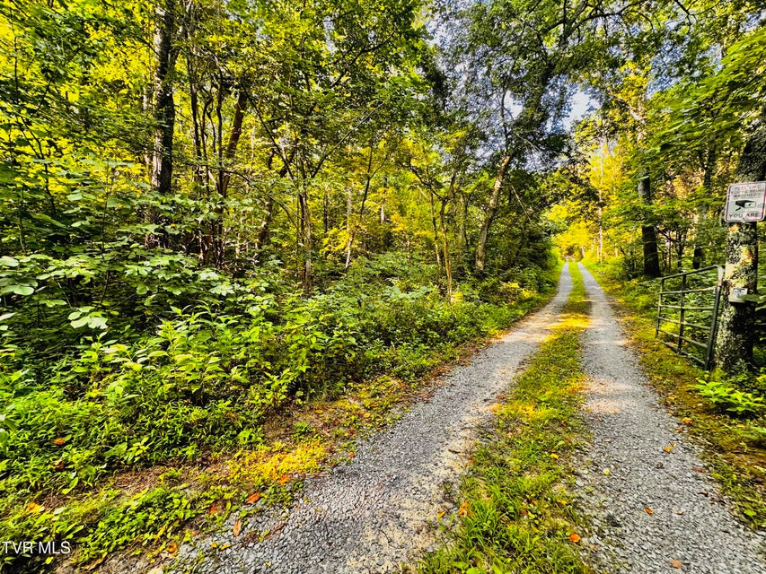 Photo #21: 8 Acres Promiseland Way