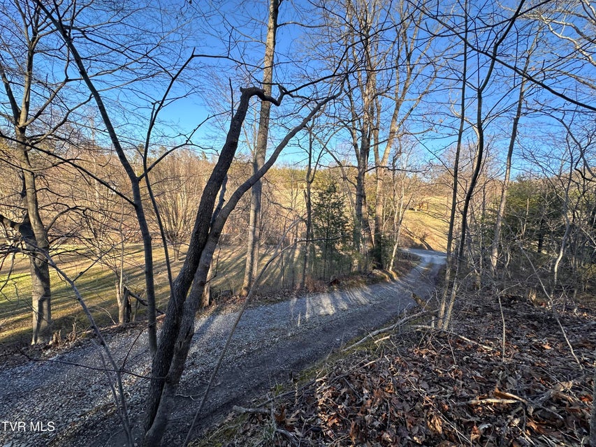 Photo #17: 8 Acres Promiseland Way