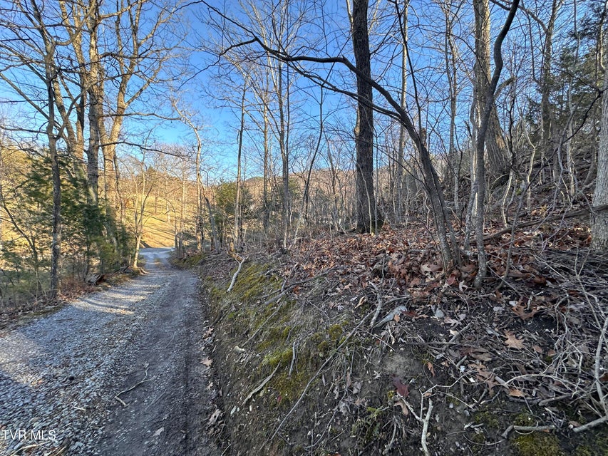 Photo #18: 8 Acres Promiseland Way