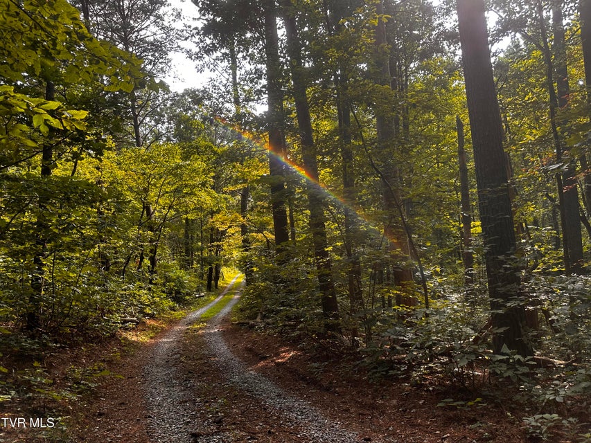 Photo #19: 8 Acres Promiseland Way