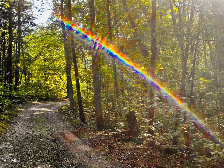 Photo #20: 8 Acres Promiseland Way