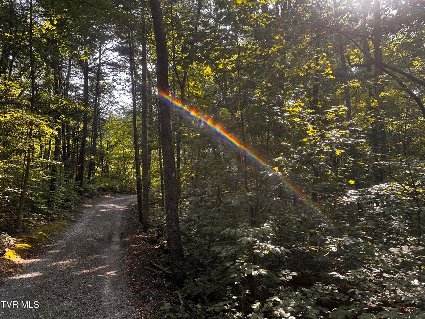 Photo #22: 8 Acres Promiseland Way