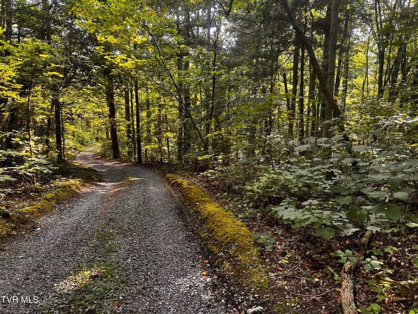 Photo #23: 8 Acres Promiseland Way