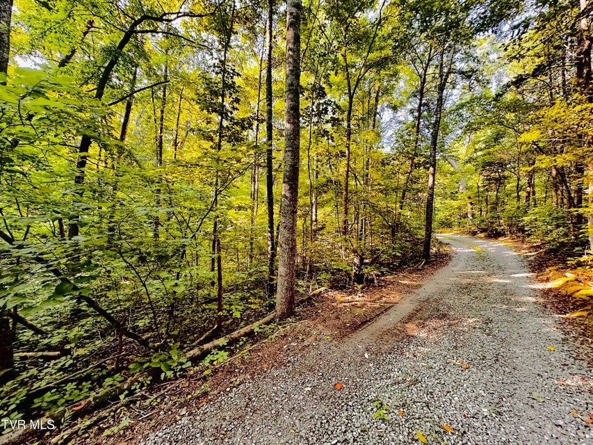 Photo #4: 8 Acres Promiseland Way