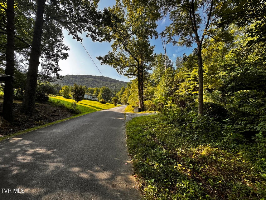 Photo #6: Tbd Tweed Springs Road