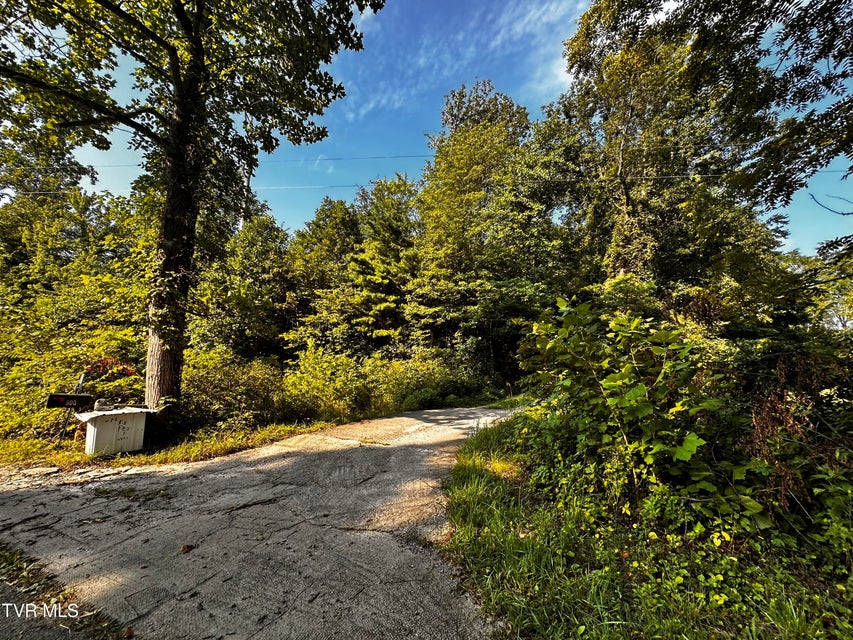 Photo #7: Tbd Tweed Springs Road