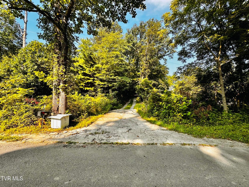 Photo #8: Tbd Tweed Springs Road