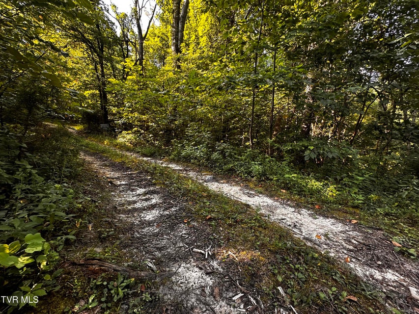 Photo #10: Tbd Tweed Springs Road