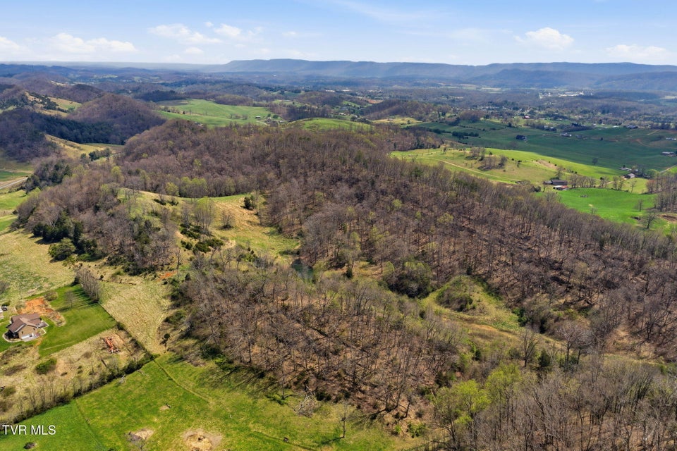 Photo #14: Tbd Carters Valley Road