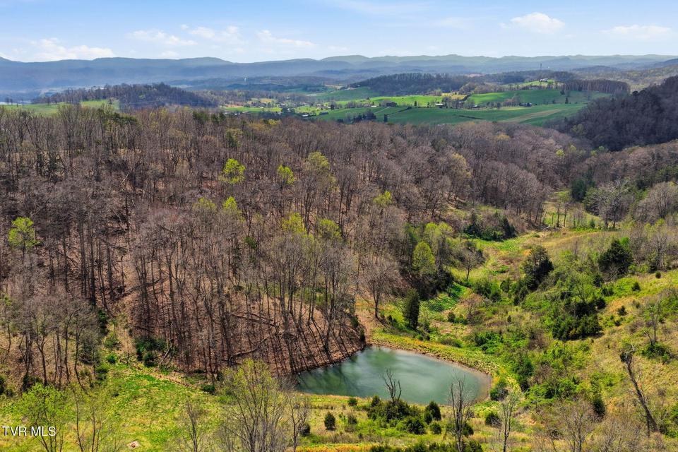 Photo #16: Tbd Carters Valley Road