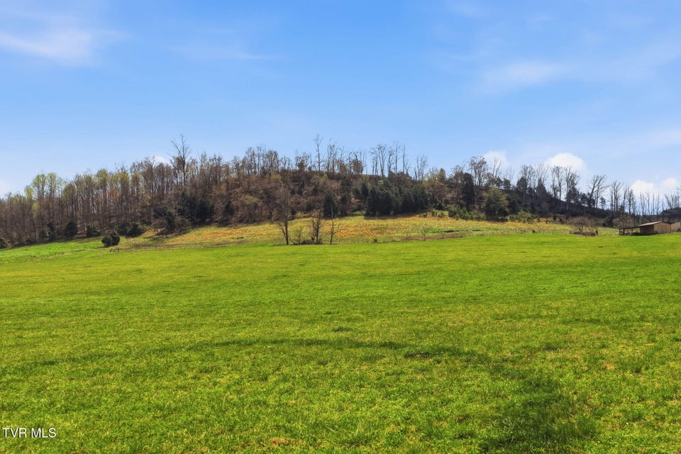 Photo #4: Tbd Carters Valley Road