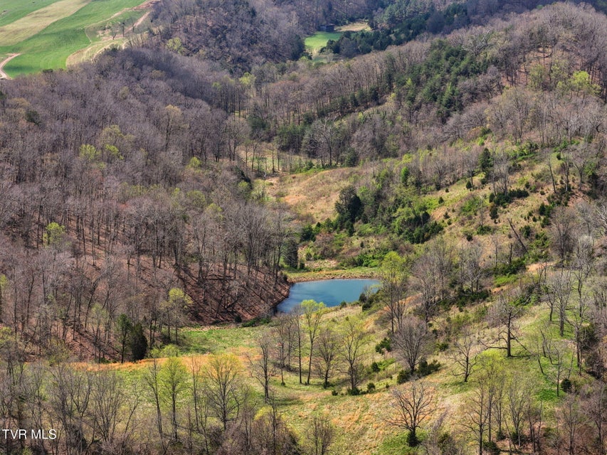 Photo #17: Tbd Carters Valley Road