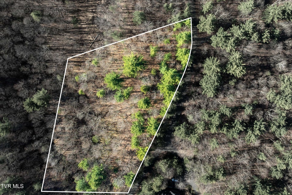 Photo #19: Lot 39 Bear Ridge Drive