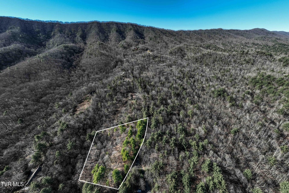 Photo #10: Lot 39 Bear Ridge Drive