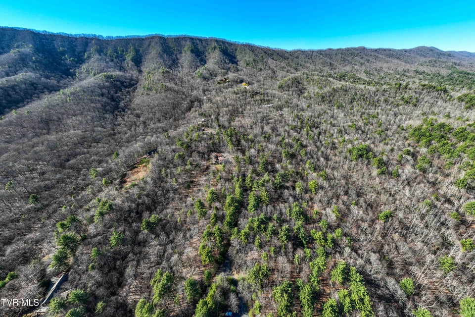 Photo #12: Lot 39 Bear Ridge Drive