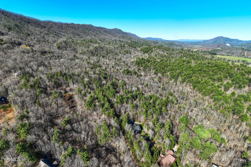 Photo #18: Lot 39 Bear Ridge Drive