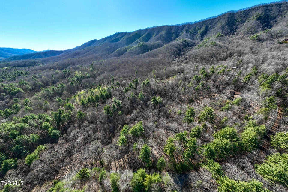 Photo #21: Lot 39 Bear Ridge Drive