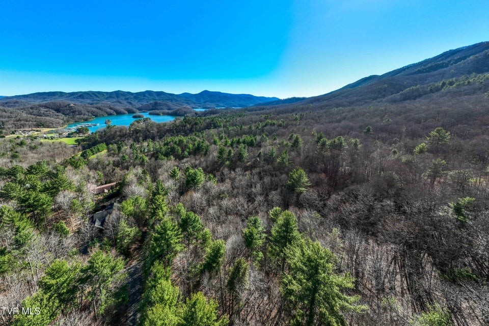 Photo #22: Lot 39 Bear Ridge Drive