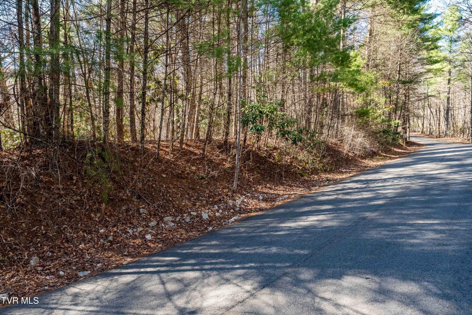 Photo #3: Lot 39 Bear Ridge Drive