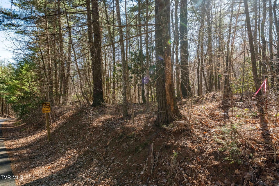 Photo #4: Lot 39 Bear Ridge Drive