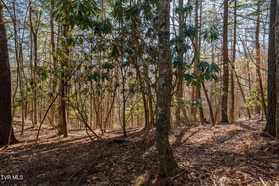 Photo #5: Lot 39 Bear Ridge Drive