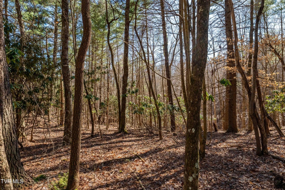 Photo #6: Lot 39 Bear Ridge Drive