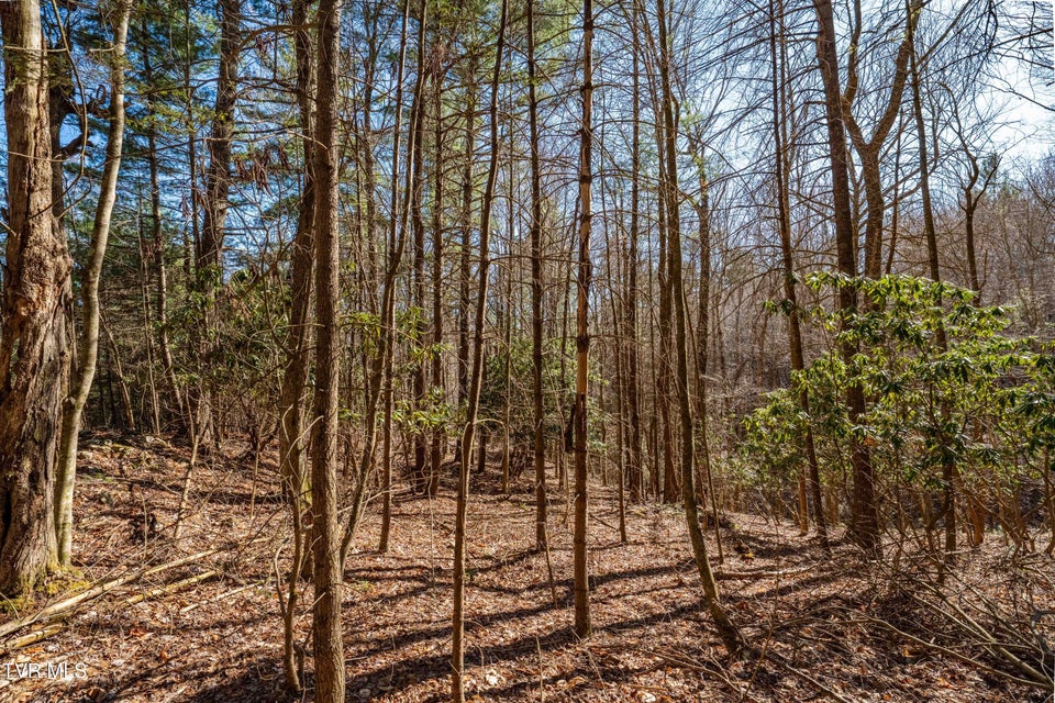 Photo #23: Lot 39 Bear Ridge Drive