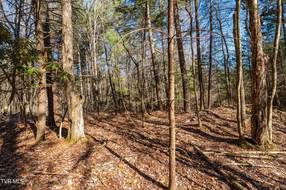 Photo #24: Lot 39 Bear Ridge Drive