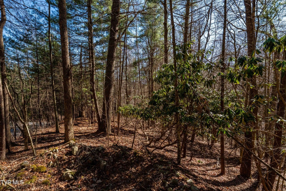 Photo #25: Lot 39 Bear Ridge Drive