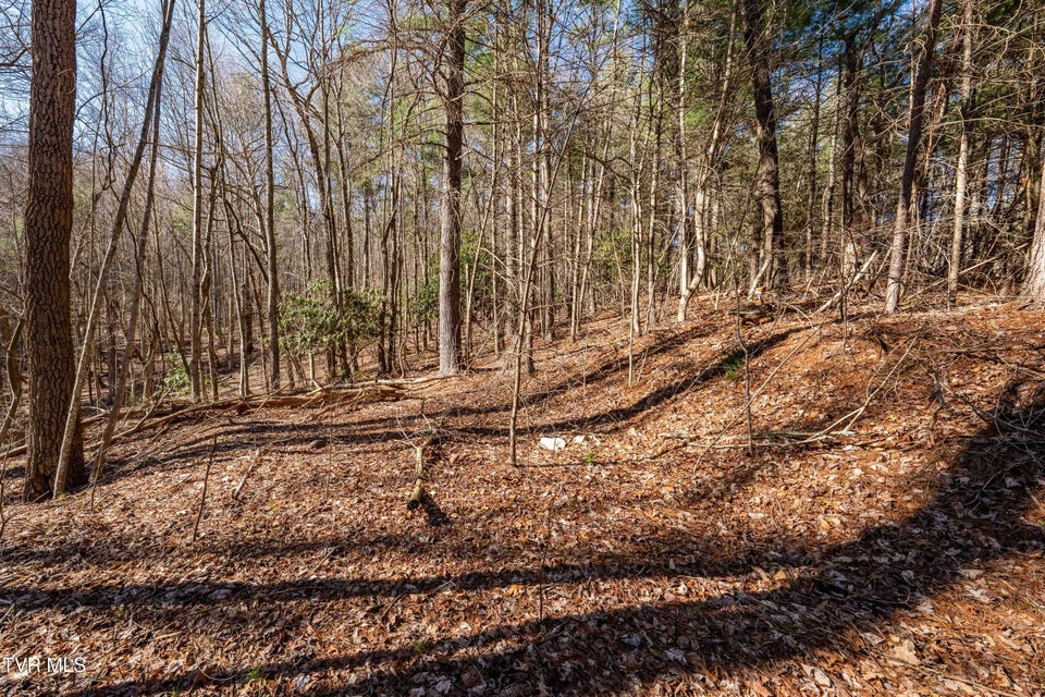 Photo #7: Lot 39 Bear Ridge Drive