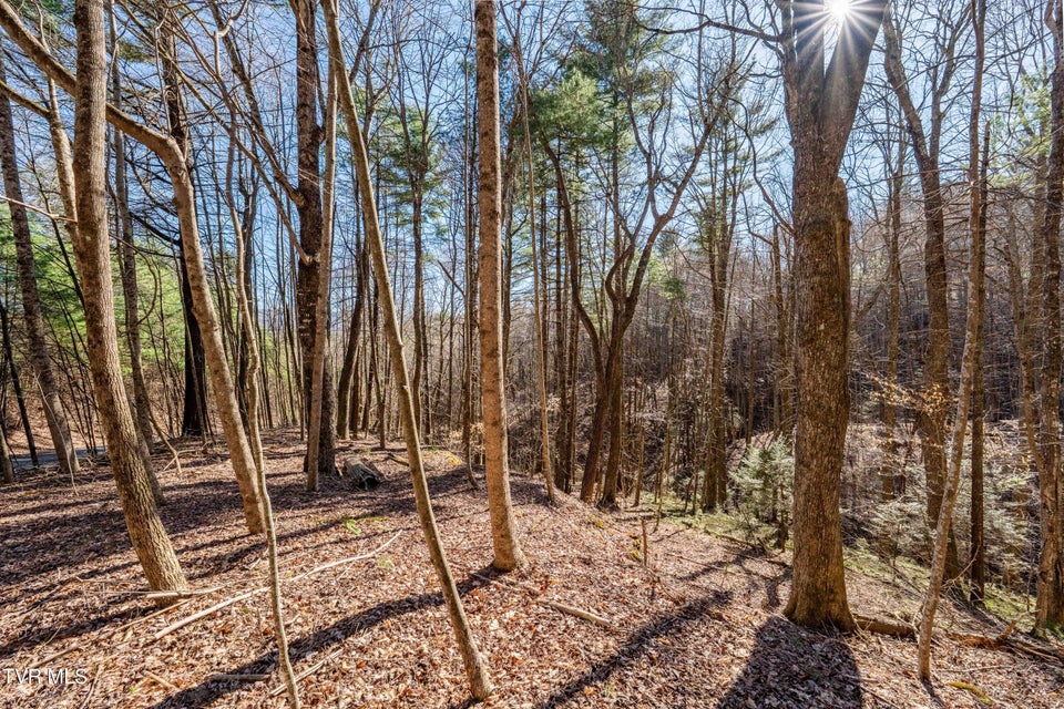 Photo #9: Lot 39 Bear Ridge Drive