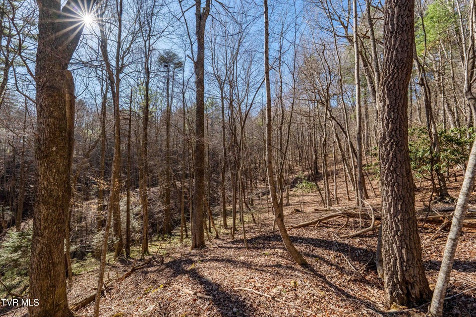 Photo #26: Lot 39 Bear Ridge Drive