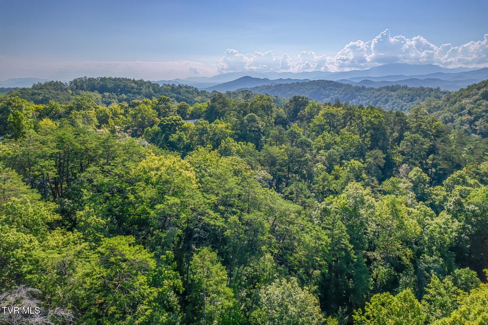 Photo #58: 2579 Black Bear Lane