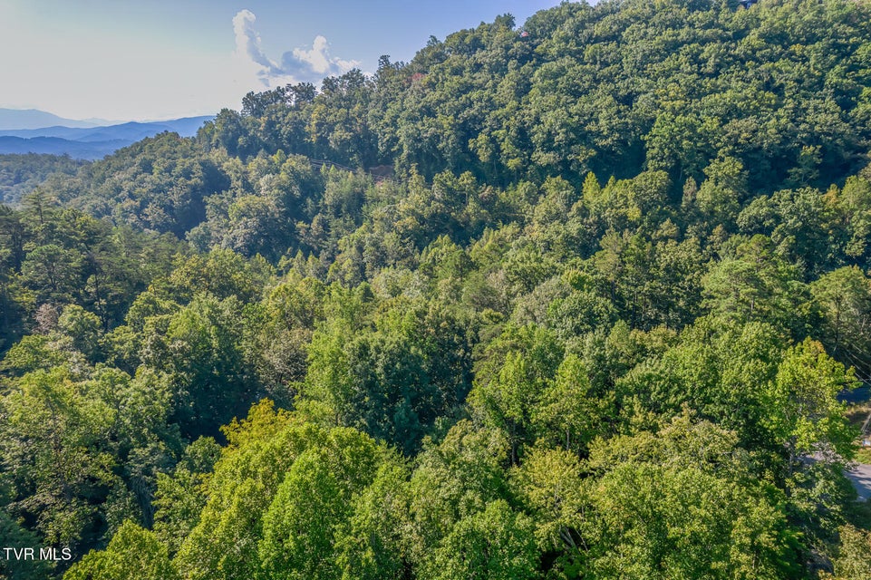 Photo #60: 2579 Black Bear Lane