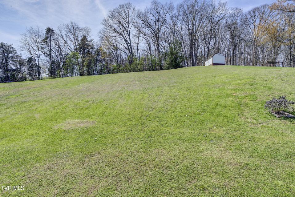 Photo #30: 317 Tipton Street