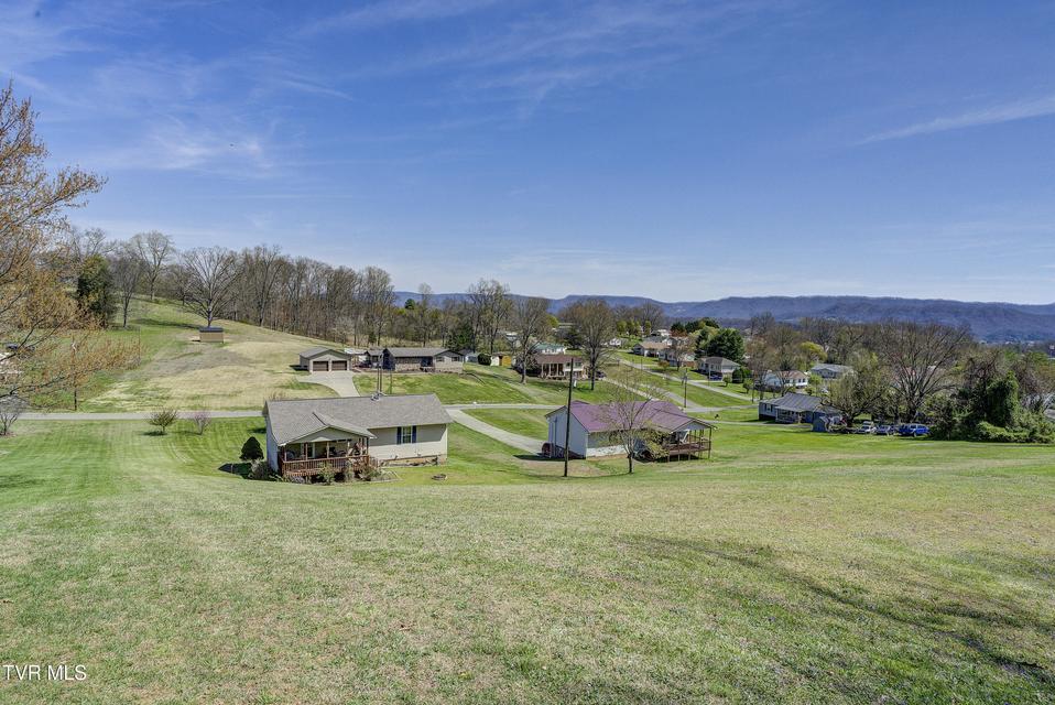 Photo #42: 317 Tipton Street