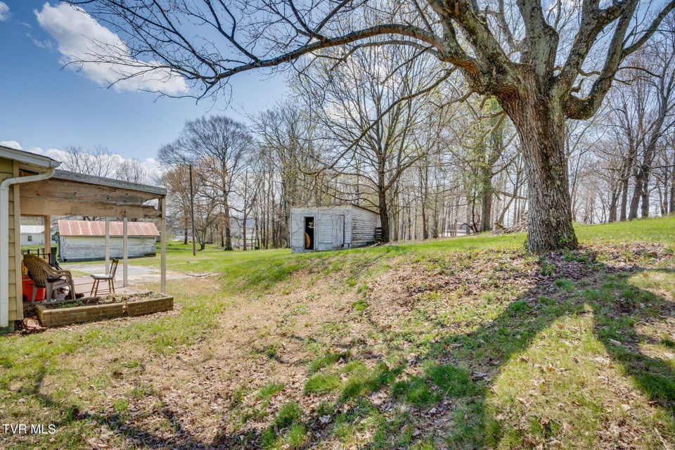 Photo #10: 252 Highway 81 