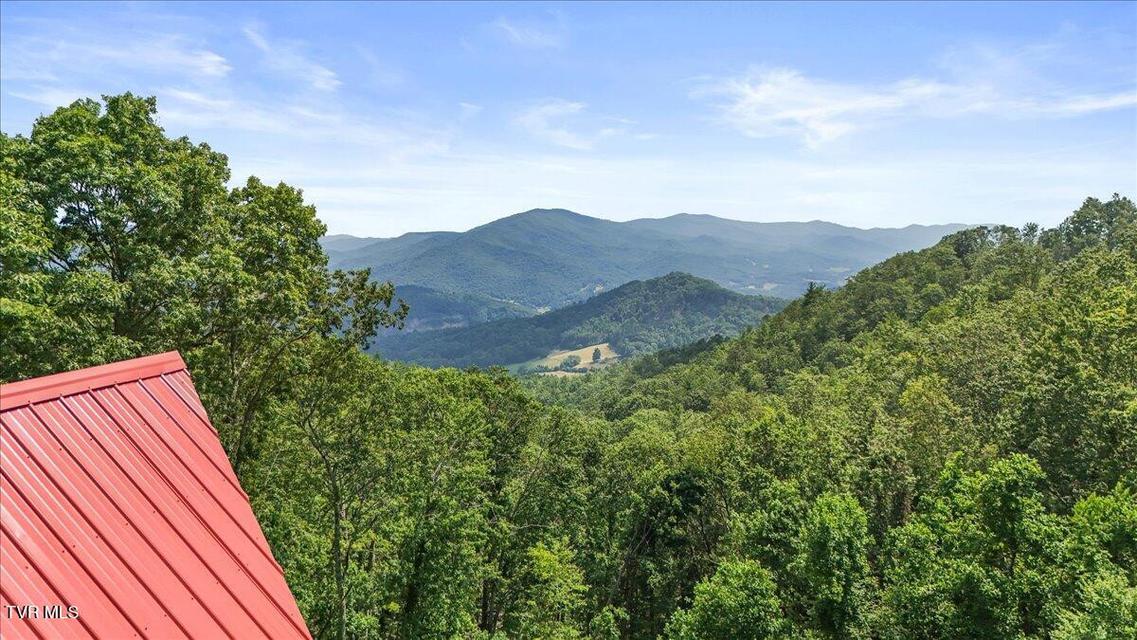 Photo #11: 4014 Callalantee Drive