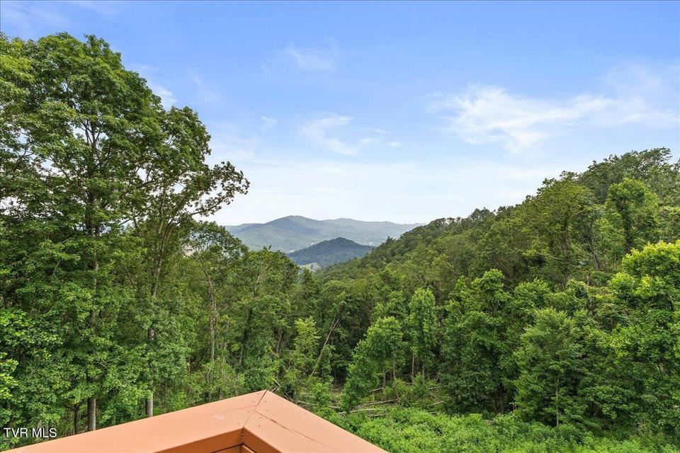 Photo #55: 4014 Callalantee Drive