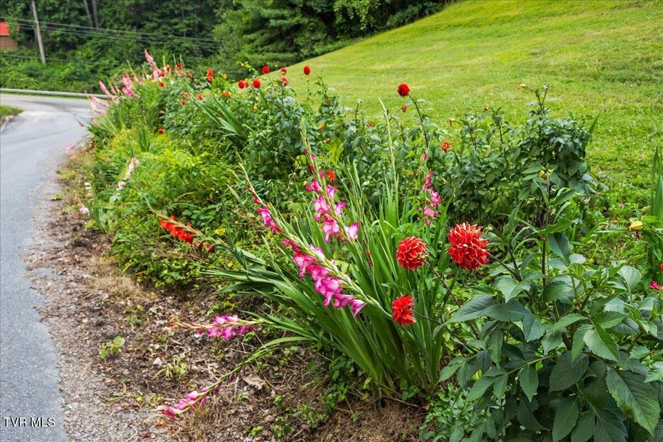 Photo #57: 4014 Callalantee Drive