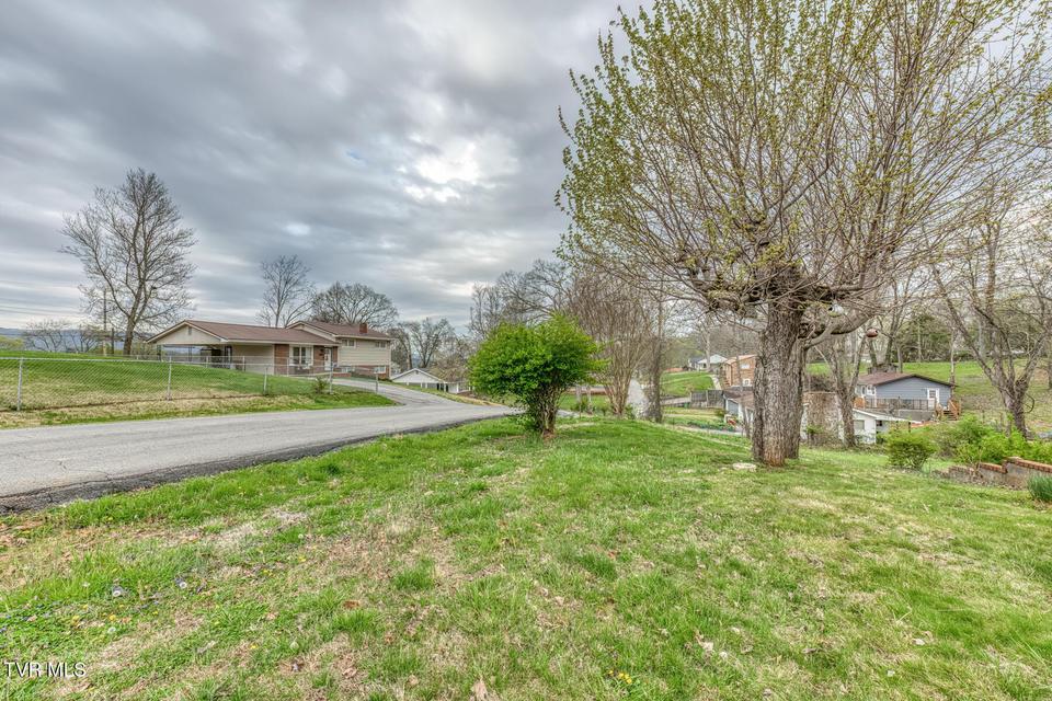 Photo #24: 441 Mimosa Street