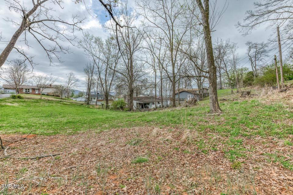 Photo #36: 441 Mimosa Street