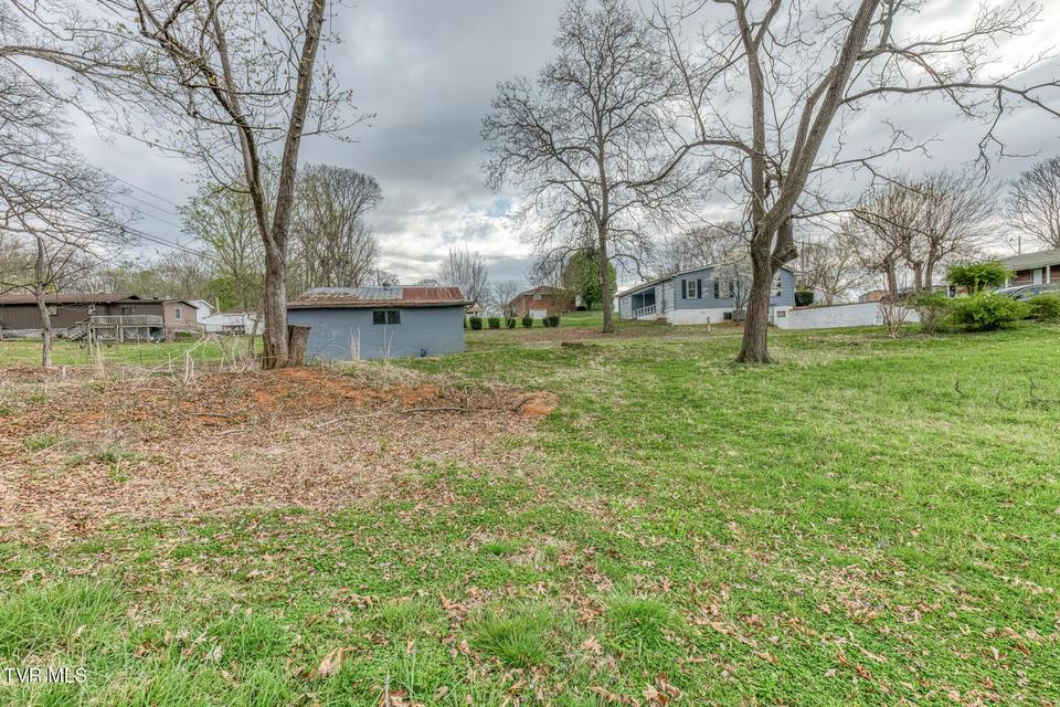 Photo #37: 441 Mimosa Street