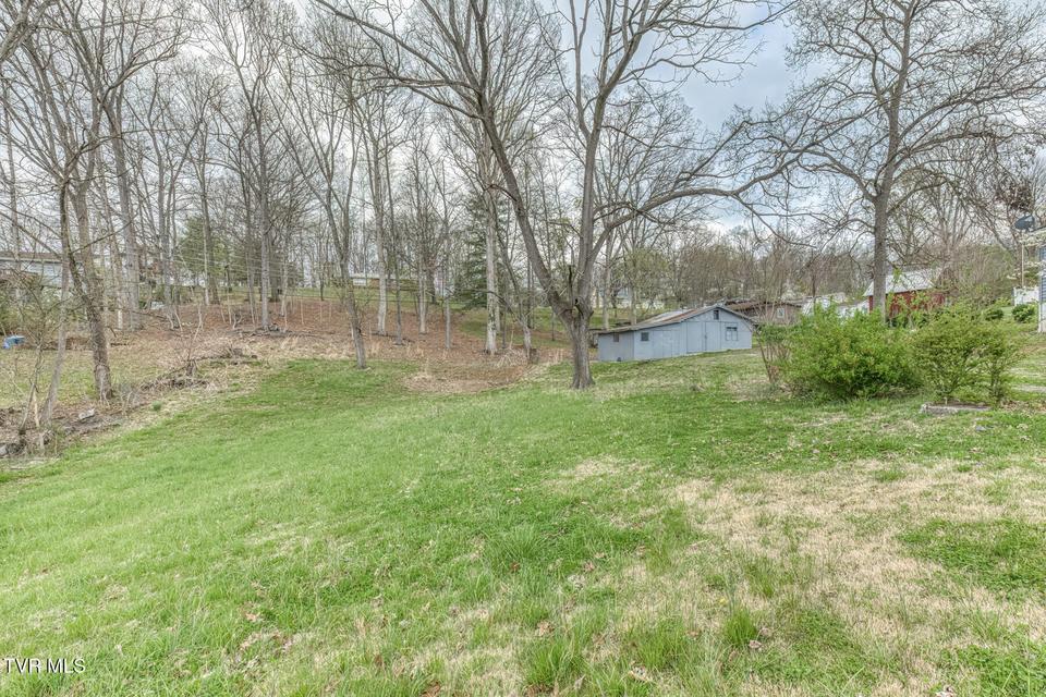 Photo #38: 441 Mimosa Street