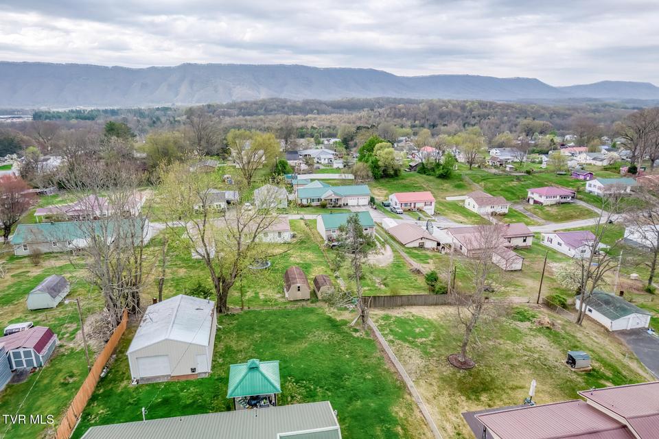 Photo #42: 441 Mimosa Street