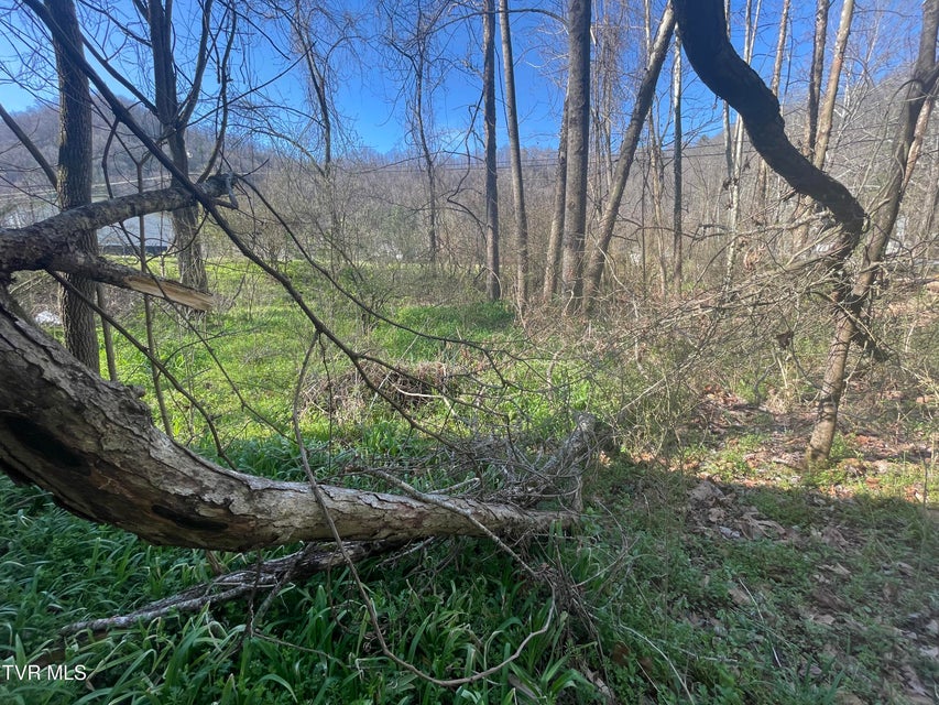 Photo #4: Tbd Drill Road